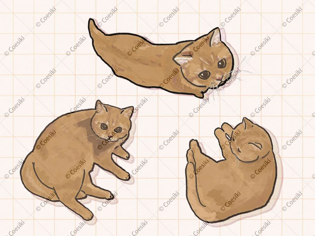 插畫作品